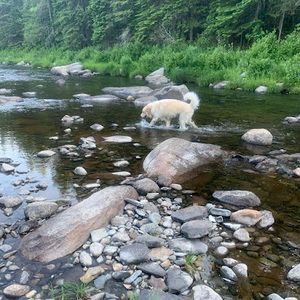 Meet your Posher, Kim